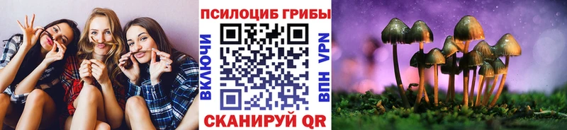 где найти   Сургут  Галлюциногенные грибы Magic Shrooms 