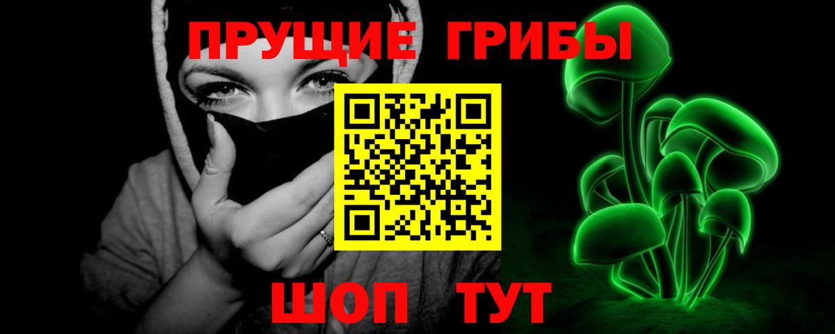 Галлюциногенные грибы прущие грибы  Вход с VPN  Сургут 